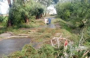 سیلاب و رعدوبرق در کنر و ننگرهار