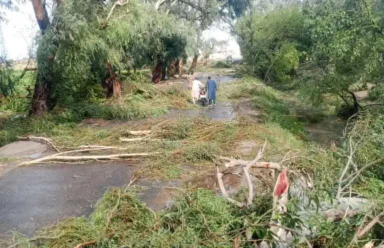 سیلاب و رعدوبرق در کنر و ننگرهار